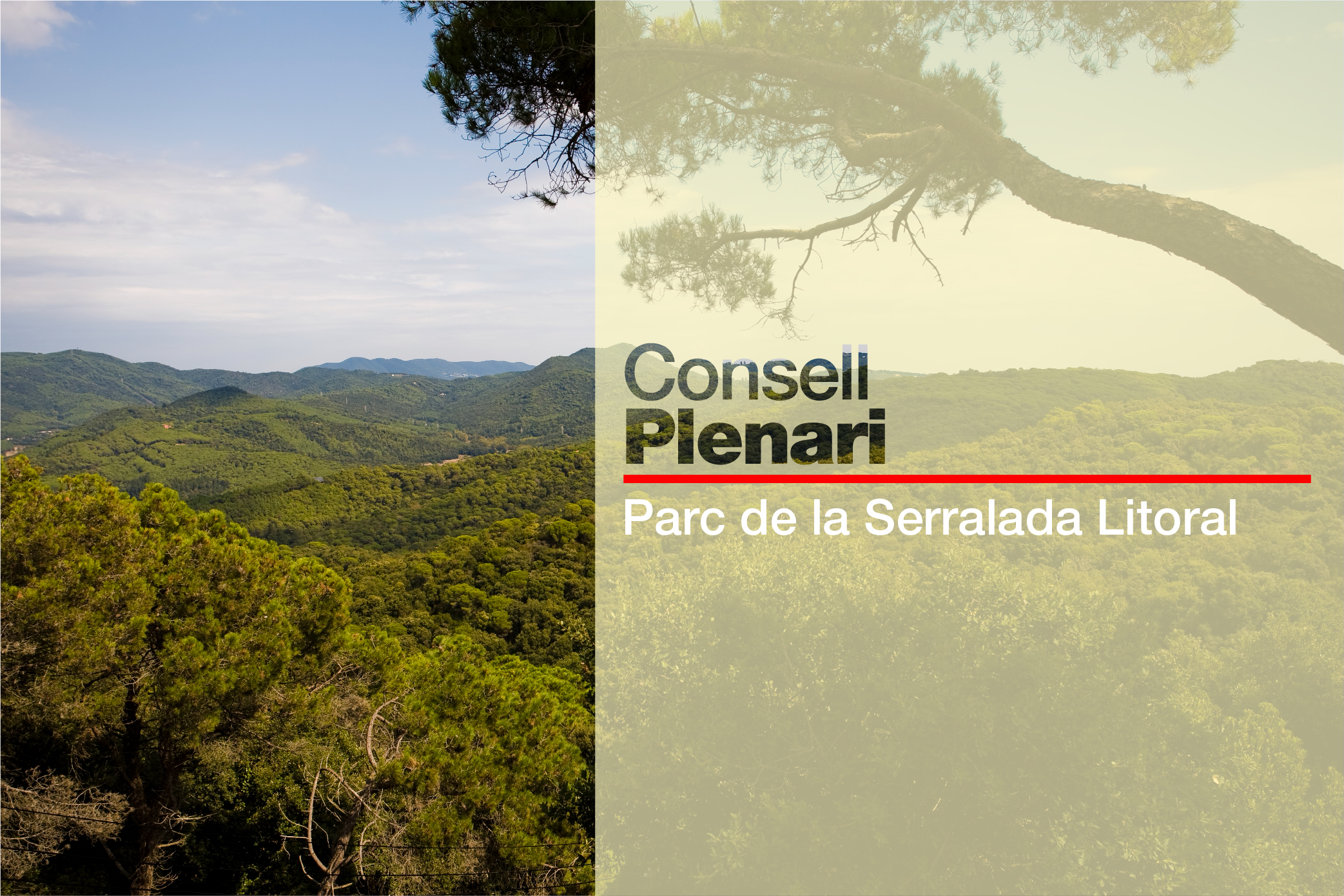 Consell Plenari del Consorci del Parc de la Serralada Litoral