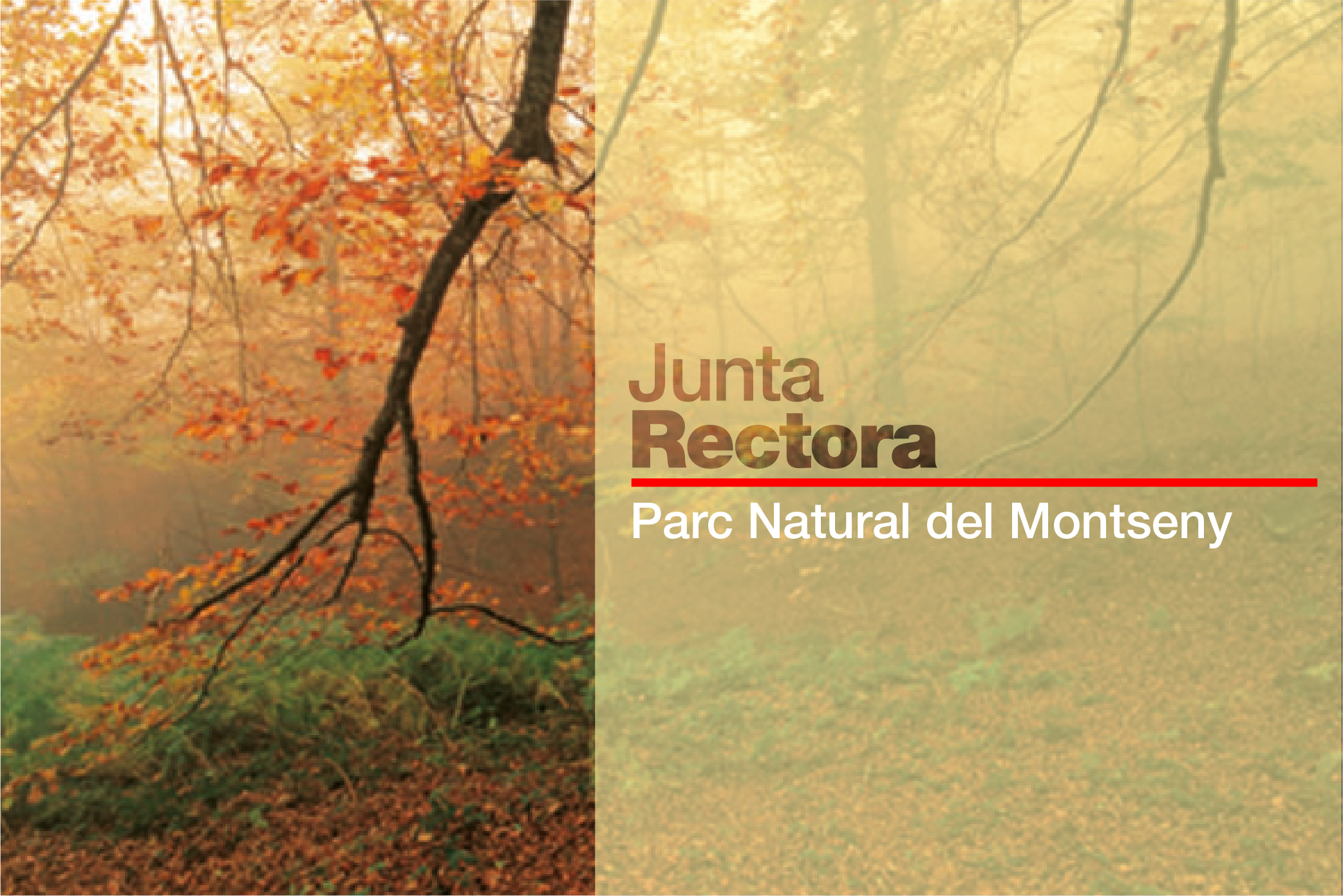 Imatge pels mitjans: Junta Rectora del Parc Natural del Montseny 