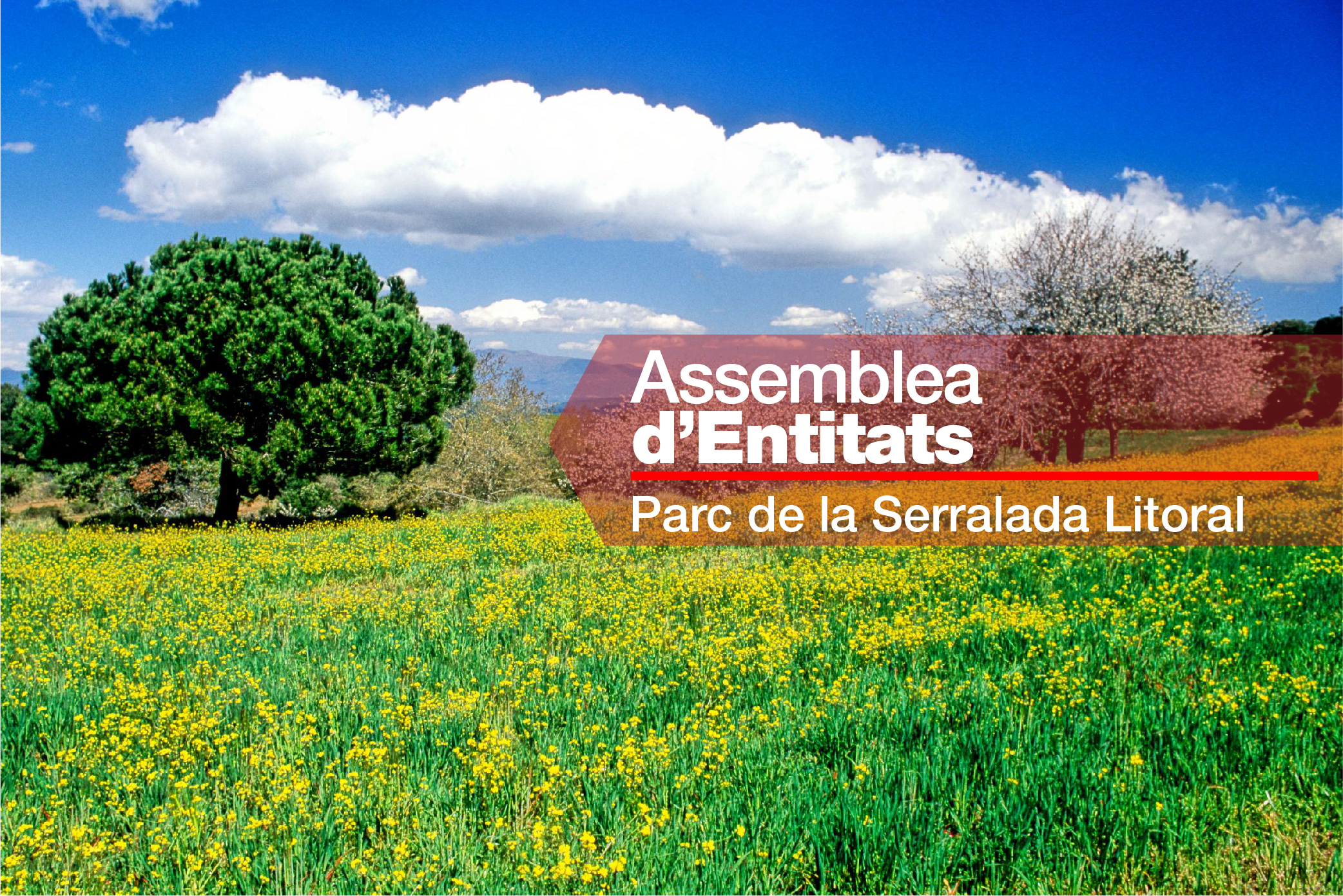 Imatge pels mitjans: Assemblea d&#39;Entitats del Parc de la Serralada Litoral