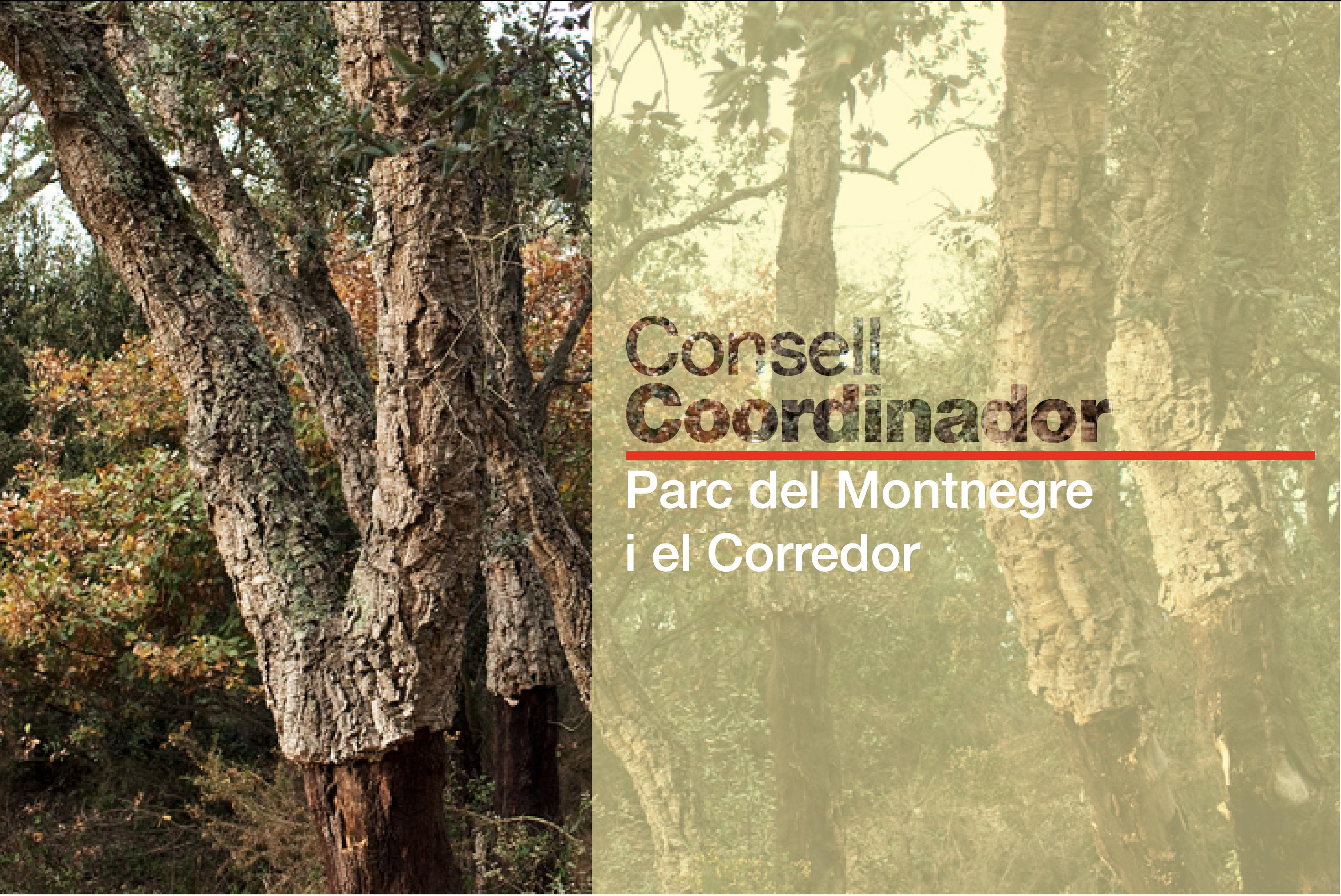 Imagen para los medios: Consejo Coordinador del Parque del Montnegre y el Corredor