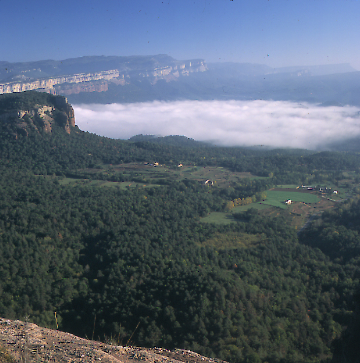 Imatge pels mitjans: Comissió Consultiva  de l&#39;Espai Natural Guilleries-Savassona
