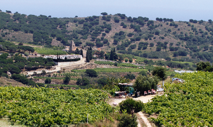 Media picture: Parc de la Serralada de Marina