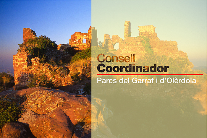 Imatge pels mitjans: Consell Coordinador dels parcs del Garraf i d&#39;Olèrdola