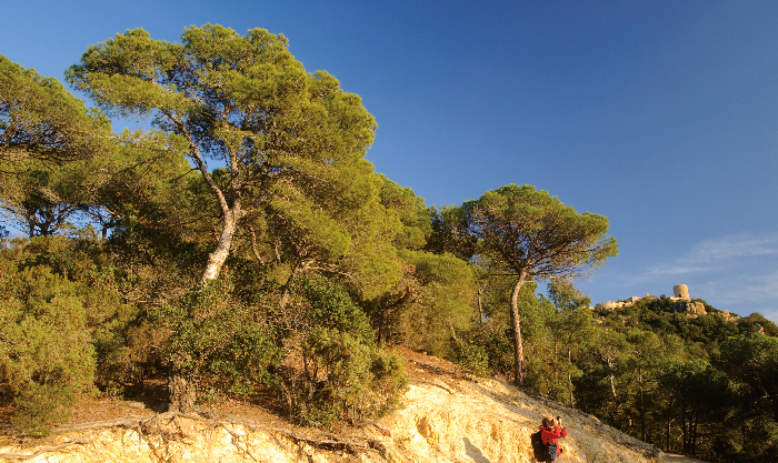 Imatge pels mitjans: Parc de la Serralada Litoral