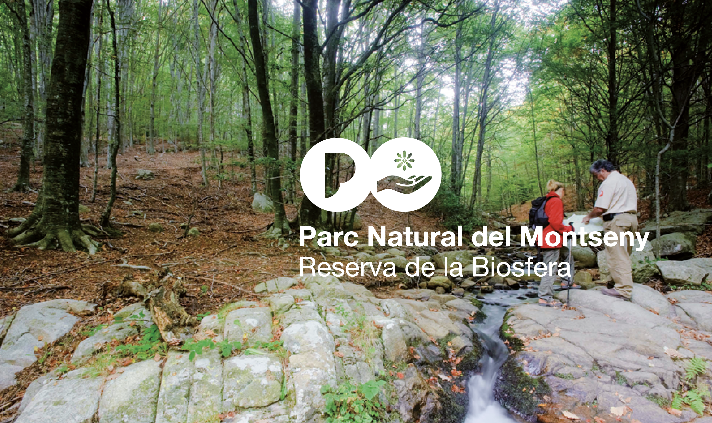 Imatge pels mitjans: Parc Natural del Montseny. Reserva de la Biosfera