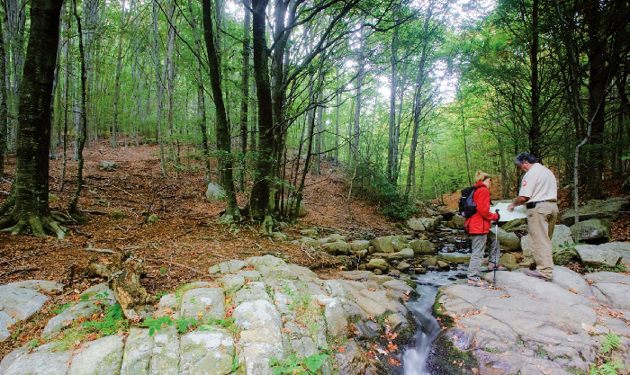 Imatge pels mitjans: Parc Natural del Montseny. Reserva de la Biosfera